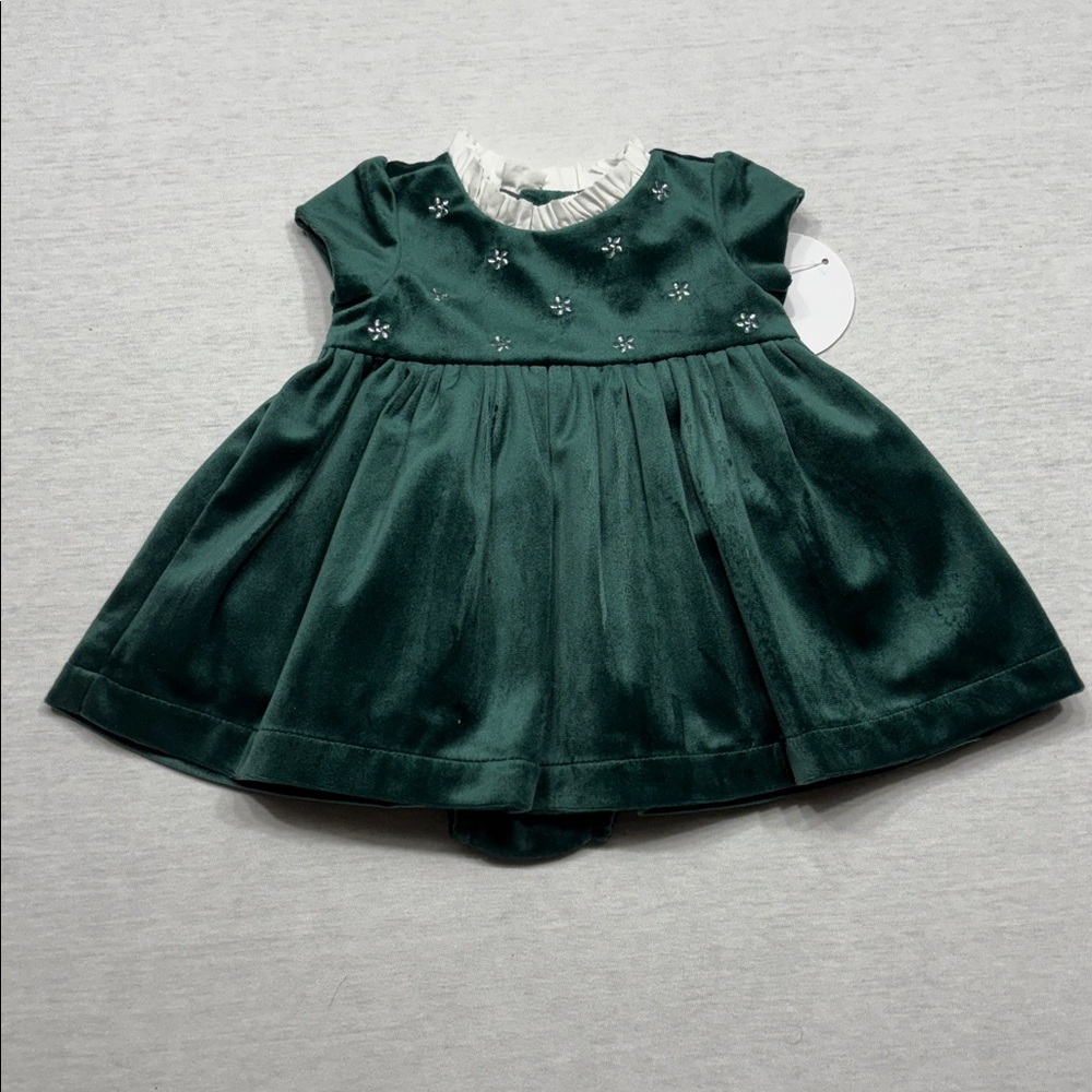 NWT Edgehill velour dress